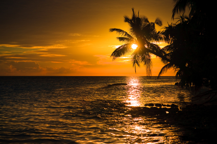 Elk River Travel agent