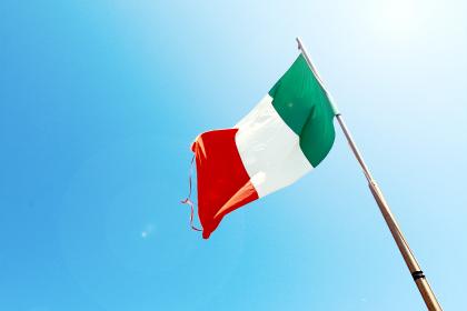 Mexican Flag